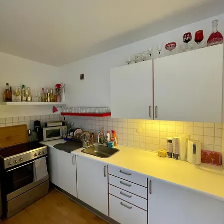 Apartment Med Udsigt Til Frederiksberg Have Kopenhagen