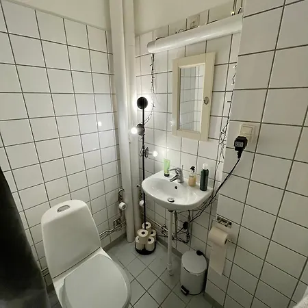 Med Udsigt Til Frederiksberg Have Kopenhagen