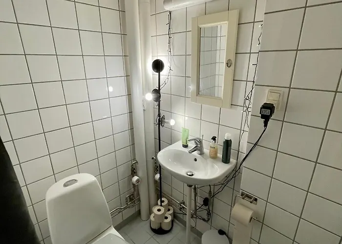 Med Udsigt Til Frederiksberg Have コペンハーゲン